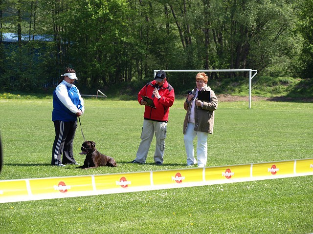 www.atibox.net * www.euroboxer.eu * www.boxergenealogia.eu